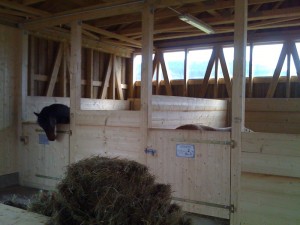 img_0230 img_0230