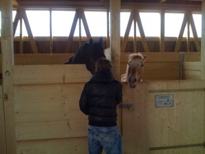 img_0234 img_0234