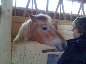 img_0235 img_0235