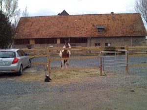 Schlosshof_Hain_1